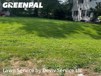 Yard Services in University Park, 20782, Yard Maintenance by Deviv Service Llc, work completed in Oct , 2025