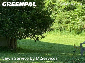 Grass Cutting nearby Greensboro, NC, 