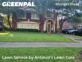 Lawn Management in Dallas, 75246, Lawn Management by Antonio's Lawn Care, work completed in Nov , 2025