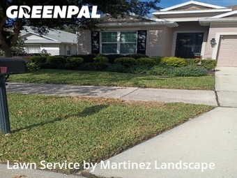 Lawn Services in Groveland, 34736, Yard Maintenance by Martinez Landscape, work completed in Nov , 2025