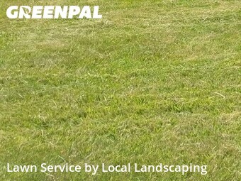 Lawn Maintenance nearby Marion, OH, 