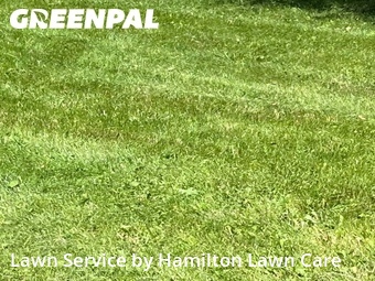 Lawn Cut nearby Noblesville, IN, 