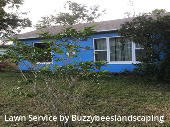 Lawn Service nearby St. Petersburg, FL, 