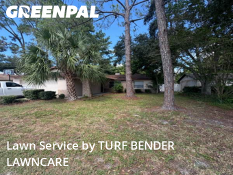 Yard Cuttingin Oldsmar,34677,Lawn Cut by TURF BENDER LAWNCARE, work completed in Nov , 2025