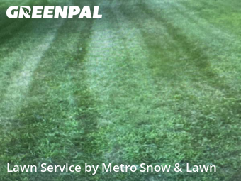 Lawn Mowing Service nearby Sterling Heights, MI, 