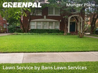 Lawn Cut nearby Dallas, TX, 