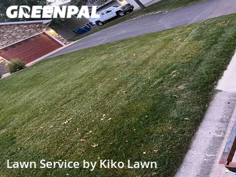 Lawn Mow nearby Farmington, MN, 