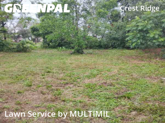 Lawn Mowing Service nearby Holiday, FL, 