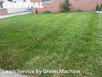 Lawn Cutting nearby Roseville, MI, 