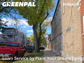 Landscapers In Chicago,60608,Landscaping Installation by Plant Your Dream Design, work completed in Nov , 2025
