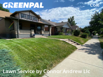 Yard Cutting nearby Denver, CO, 