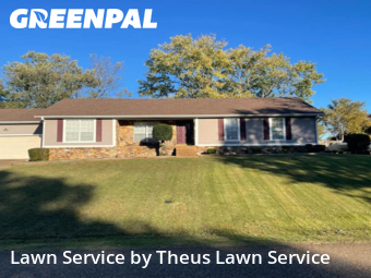 Grass Services in Jackson, 38305, Grass Care by Theus Lawn Service, work completed in Nov , 2025