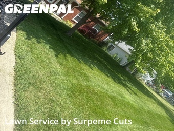 Lawn Mow nearby Mason, OH, 