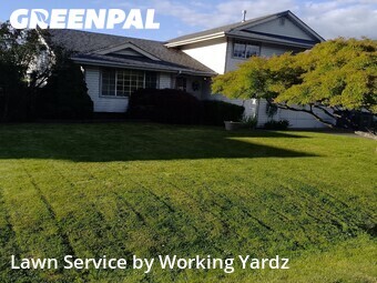 Lawn Cutting nearby Pacific, WA, 