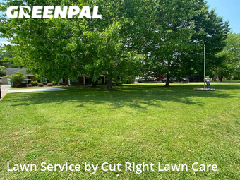 Grass Cutting nearby Murfreesboro, TN, 