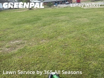 Grass Cut nearby Augusta, GA, 