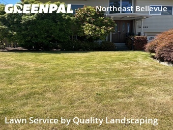 Yard Mowing nearby Bellevue, WA, 