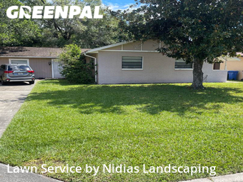 Lawn Mow nearby Tampa, FL, 