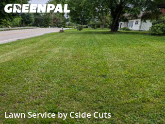 Yard Care Services in Glenshaw, 15101, Lawn Management by Cside Cuts, work completed in Oct , 2025