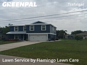 Grass Cut nearby Cape Coral, FL, 