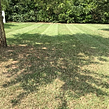 grass-cutting-businesses-in-Arlington-TN