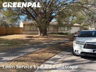 Grass Cut nearby Oldsmar, FL, 