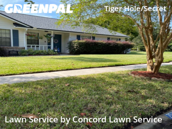 Lawn Service nearby Jacksonville, FL, 