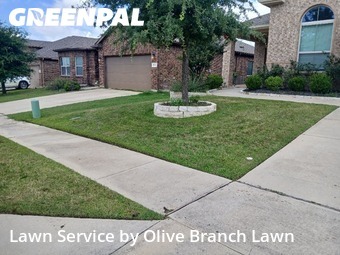 Yard Mowing nearby Roanoke, TX, 