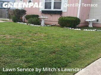 Lawn Cut nearby New Orleans, LA, 