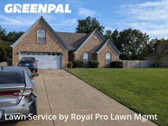 Yard Mowing nearby Walls, MS, 