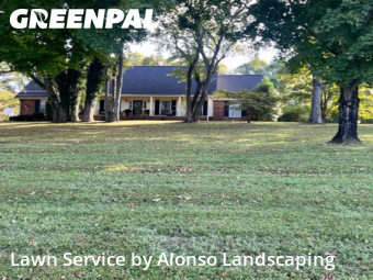 Lawn Care Servicein Brentwood,37027,Lawn Care by Alonso Landscaping, work completed in Nov , 2025
