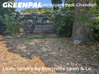 Lawn Mow nearby Evansville, IN, 