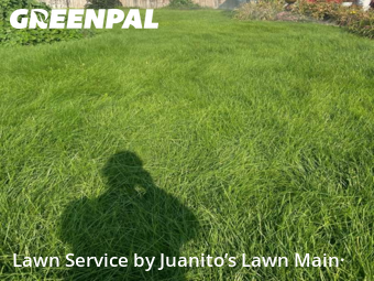 Lawn Cutting in Pasco, 99301, Lawn Management by Juanito’s Lawn Main·, work completed in Nov , 2025