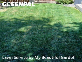 Lawn Maintenance nearby Denver, CO, 