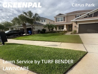Landscaping In Tampa,33626,Landscaping Renovation by TURF BENDER LAWNCARE, work completed in Apr , 2026