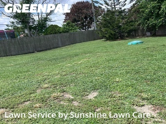 Grass Cut nearby Port St. Lucie, FL, 