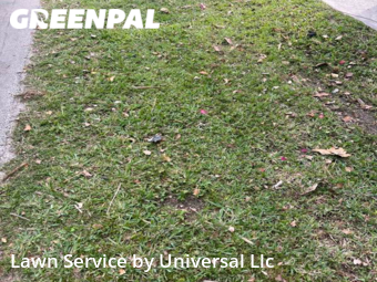 Lawn Mow nearby Oakland Park, FL, 