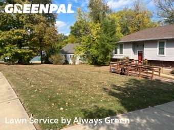 Lawn Cut nearby Overland Park, MO, 