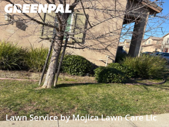 Work completed by lawn-maintenance-in-Folsom-CA
