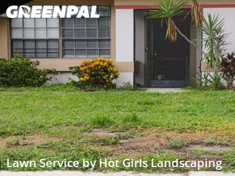 Lawn Cut nearby Tarpon Springs, FL, 