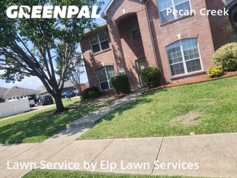 Grass Cut nearby Mesquite, TX, 