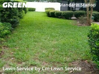 Lawn Mow nearby Jacksonville, FL, 