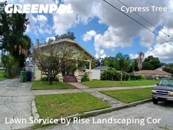 Lawn Care nearby Tampa, FL, 