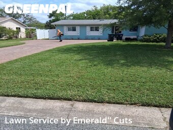 Yard Mowing nearby Winter Park, FL, 