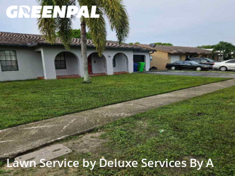 Lawn Maintenancein Sunrise,33322,Lawn Cutting by Deluxe Services By A, work completed in Dec , 2025