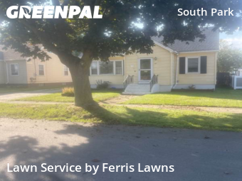 Yard Care Services in Buffalo, 14220, Yard Cutting by Ferris Lawns, work completed in Oct , 2025