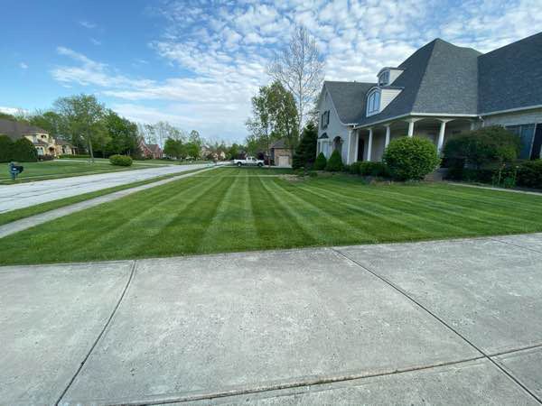 Yard mowing company in Indianapolis, IN, 46234