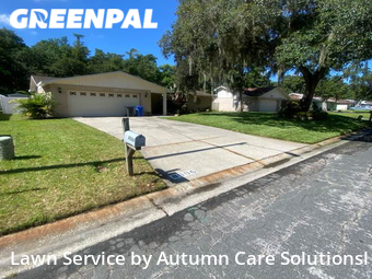 Lawn Maintenance nearby Tampa, FL, 