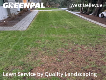 Lawn mowed in Bellevue, 98004