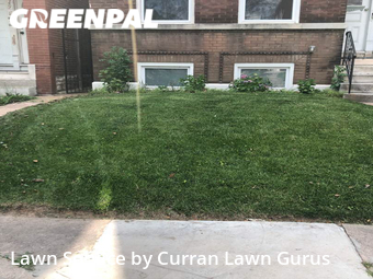 Lawn Cutting nearby St. Louis, IL, 